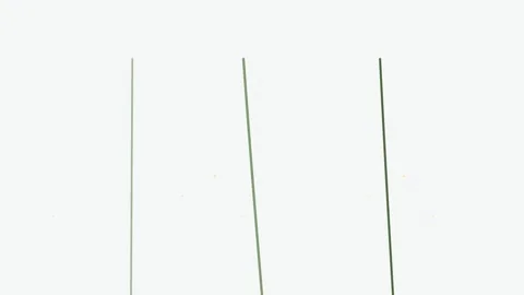 Three thin green stems isolated against a clean solid white background 库存影片 336262562