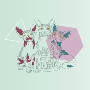 Three thin line cats Stock-Illustration