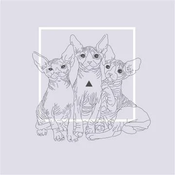 Three thin line cats Stock Illustration