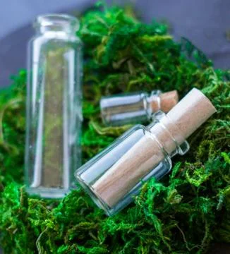 Three tiny glass bottles with peace of parchment on bright green moss Stock Photos