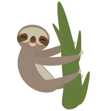 Three-toed sloth on green branch on white background. Vector Stock Illustration