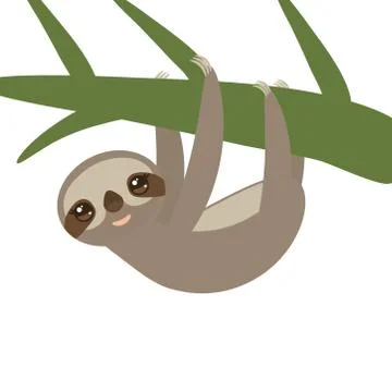 Three-toed sloth on green branch on white background. Vector Stock Illustration