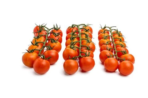 Three tomato branches next to each other. Stock Photos