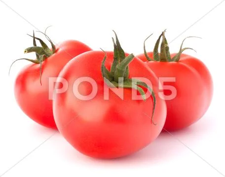 Three tomato vegetables Stock Photos