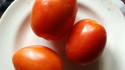 Three Tomatoes on Ceramic plate Stock Footage 127105378