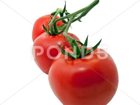 Three tomatoes close up Stock Photos