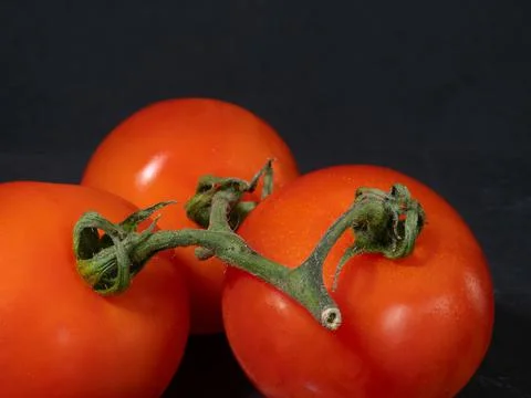 Three Tomatoes Closeup Stock Photos