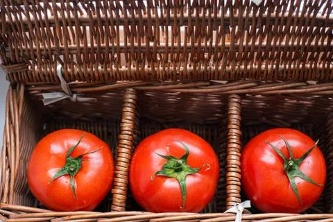 Three tomatoes with dew lying in wicker box Stock Photos