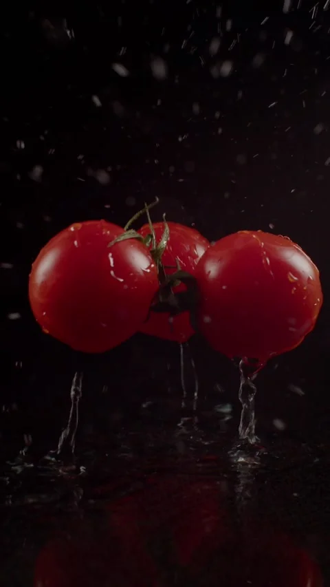 Three tomatoes fall into the water on a black background Stockbeeldmateriaal 237706923