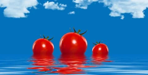 Three tomatoes floating in water Stock Photos