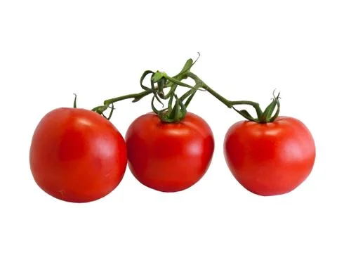 Three tomatoes isolated on white Stock Photos