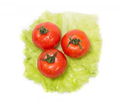 Three tomatoes lying on a sheet of green salad Stock Photos