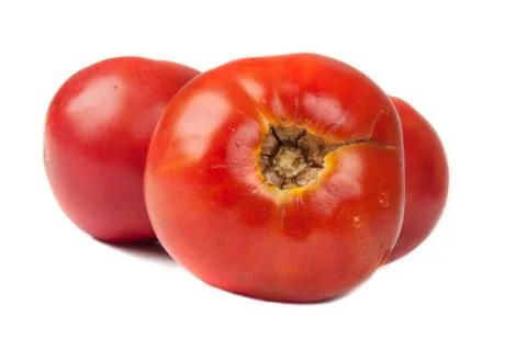 Three tomatoes Stock Photos