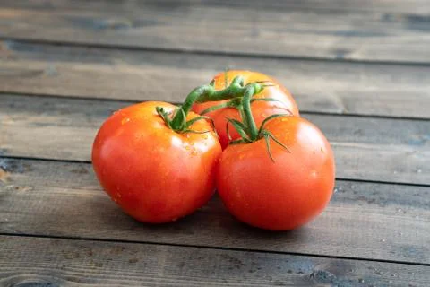 Three tomatoes Stock Photos