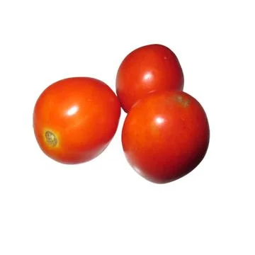 Three tomatoes Stock Photos