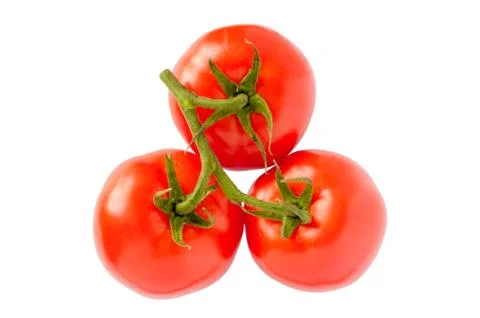 Three tomatoes on white background 写真素材