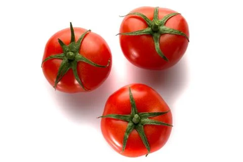 Three tomatoes on a white background Stock Photos