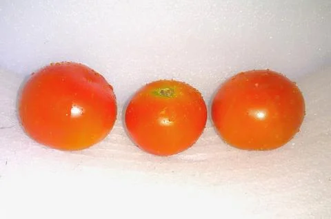 Three Tomatoes on White Background Stock Photos