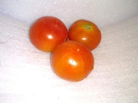 Three Tomatoes on White Background Stock Photos