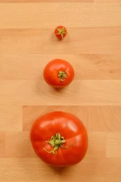 Three tomatos Stock Photos