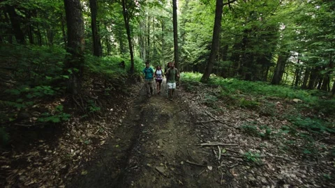 Three tourists follow camera through dark green forest. People walk along dirt Stock Footage 208887621