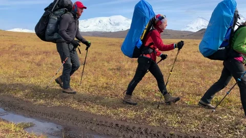 Three tourists with large backpacks are walking along the tundra Video stock 140086049