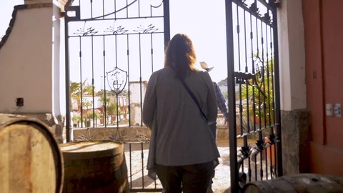 Three tourists walking though an iron gate at a Tequila factory Stock Footage 90223089