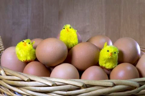 Three toy chickens between eggs in packing Stock Photos
