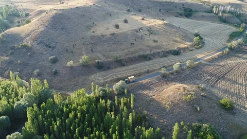 Three tractors in the forest Видео 94929145
