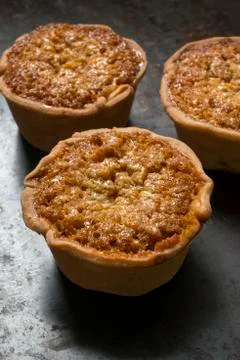 Three Treacle tarts Stock Photos