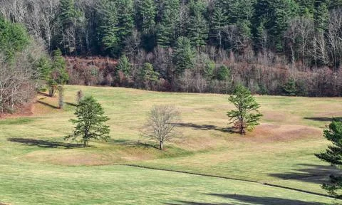 Three trees  in the open landscape of the quabbin reservoir Stock Photos