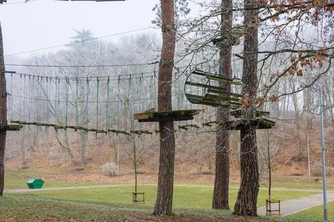Three trees in a rope park with stretched cables and ropes. Platforms and b.. Stock Photos