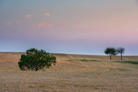 Three Trees Valveron Stock Photos