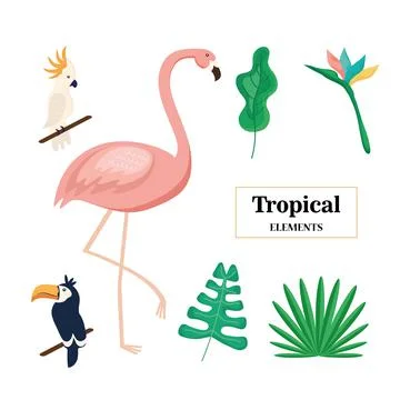 Three tropical animals 스톡 일러스트
