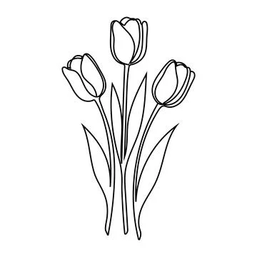 Three tulips. Flowers. Continuous line Editable stroke Stock Illustration