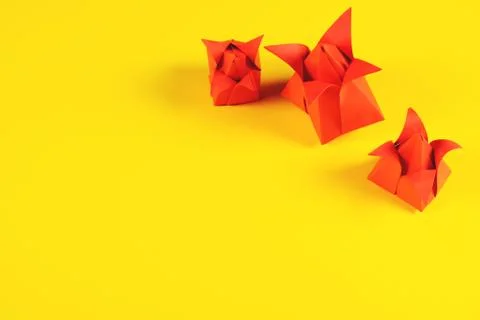 Three tulips of yellow background. Stock Photos
