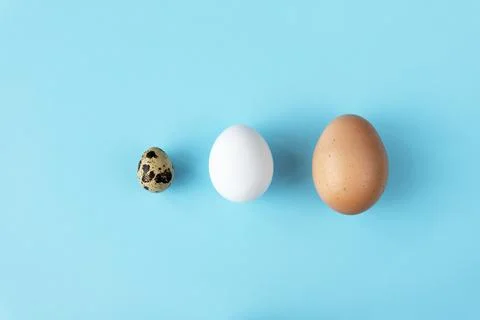 Three type of different birds eggs isolated on blue paper background. Various Stock Photos