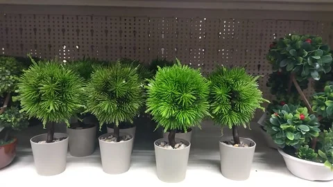 Three types of artificial flowers on the store shelf from left to right Video stock 315024906