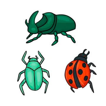 Three types of beetles. Ladybug and green bug. Vector illustration Stock Illustration