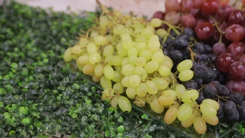 Grapevine Types Stock Videos – Royalty-Free HD & 4K Videos