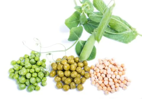Three types of green peas - raw, canned and dry Stock Photos