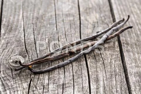 Three vanilla pods. Stock Photos
