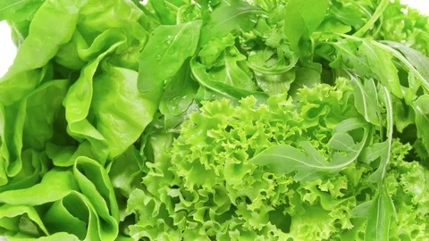 Three varieties of lettuce on white background zoom out 库存影片 75252109