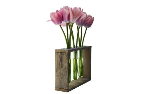 Three vases of tulips Stock Photos