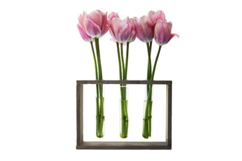Three vases of tulips Stock Photos
