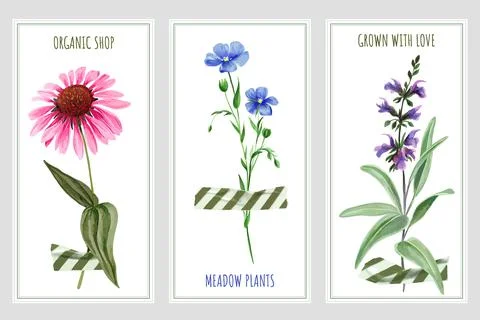 Three vertical banners with wild flowers and tape Stock Illustration