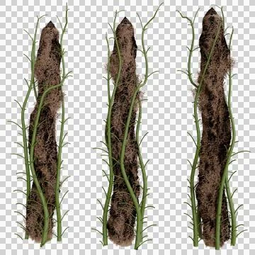 Three vertical earthy structures with vine-like growth 스톡 사진