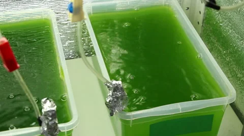 Three vessels with green bubbling liquid overview Stock-Footage 60816648