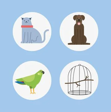 Three veterinary service animals Stock Illustration