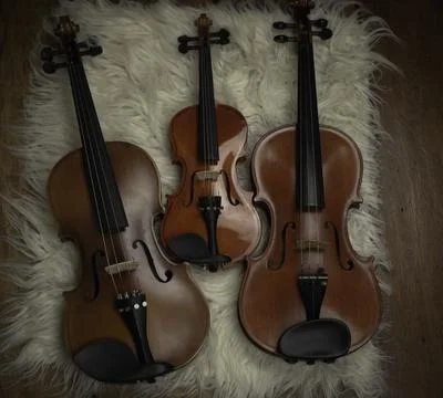 Three violins put on background,show detail and different size of acoustic in Stock-Fotos